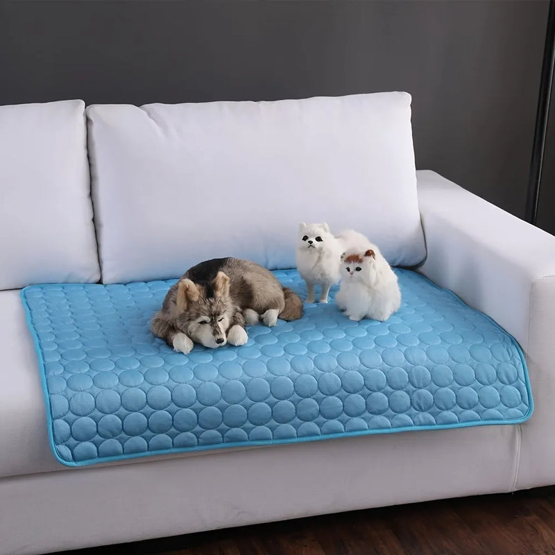 FrozenPet© Tapete Refrescante - Domus Store