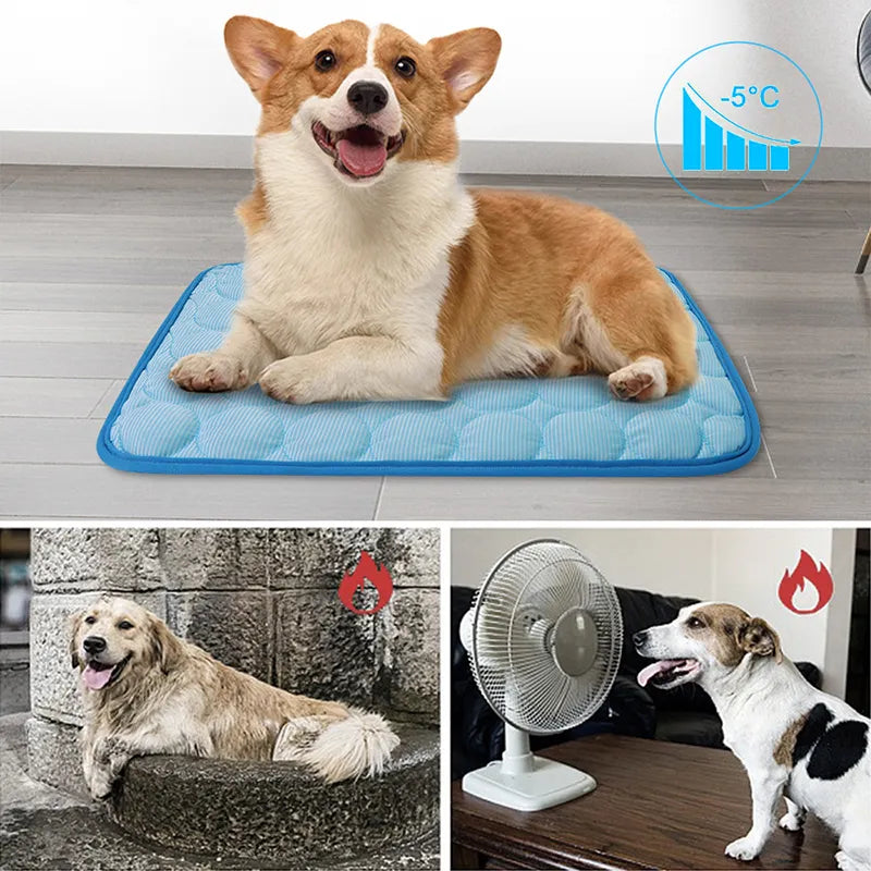 FrozenPet© Tapete Refrescante - Domus Store